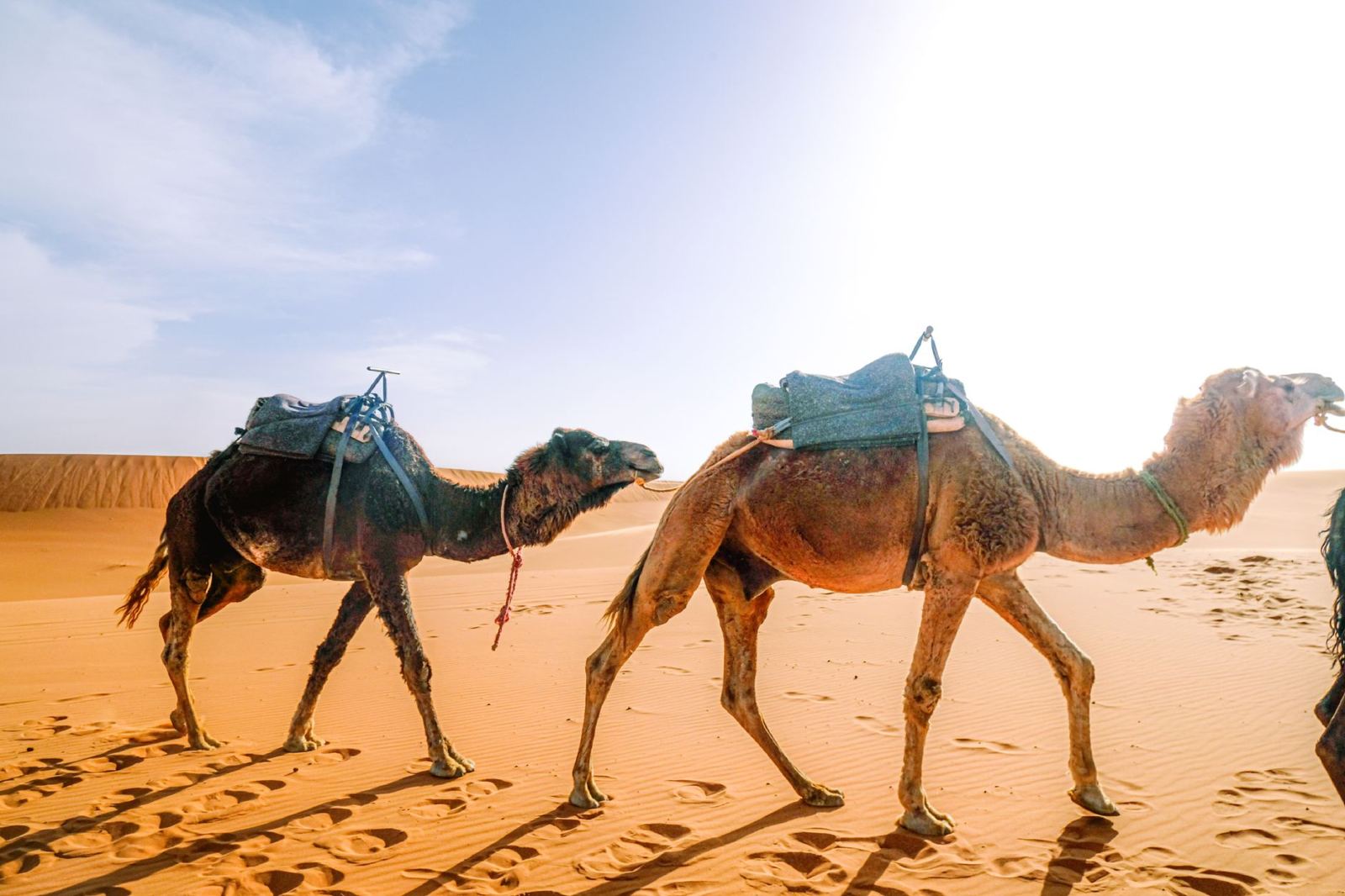 Morocco Travel Guide