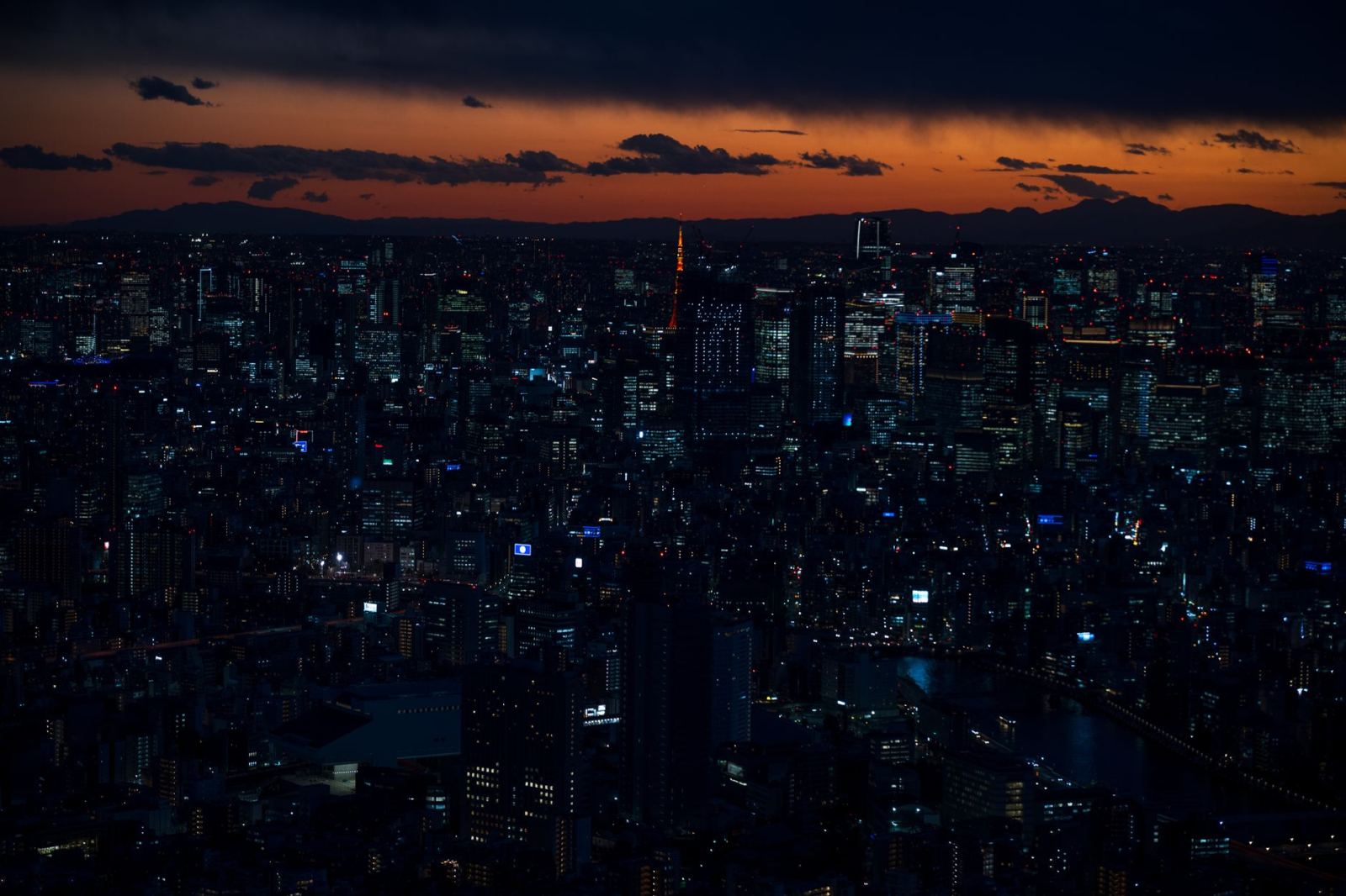 Tokyo Travel Guide